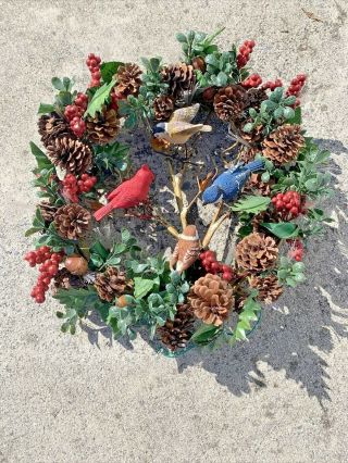 Rare Bird Bluejay Cardinal Chickadee Wren Winter Wreath 14” ❤️sj7m