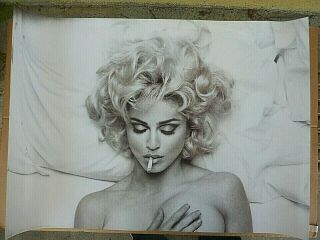 Rare Madonna Sex 1992 Vintage Music Book Store Promo Poster