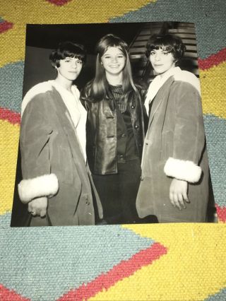The Shangri - Las In London - Rare Press Photo.  Leader Of The Pack