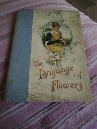 Rare 1890 The Language Of Flowers Book By Ernest Nister.  (hardcover)