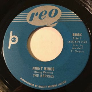 Garage Punk Psych The Berries Night Winds Reo 45 Very Rare Canadian Killer