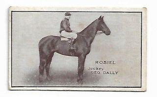 Extremely Rare Thorps Australian Jockey - Geo Dally