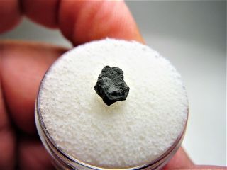 One Of A Kind Rare Class Fantastic Nwa 8534 Cm1/2 Meteorite.  156 Gms