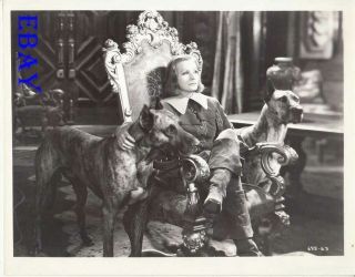 Greta Garbo Sits On Throne Queen Christina Rare Photo