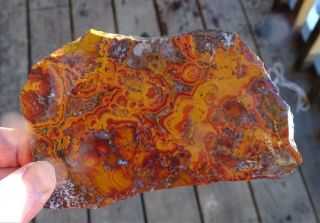 Outrageous Slab Of Rooster Tail Jasper Looks Solid 4.  9 X 3.  2 X.  25 Rare Mat.