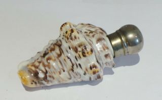Rare Victorian Shell Porcelain Scent Bottle - Fine Quality - C1880 