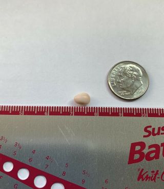 Pale Pink Conch Pearl.  Rare. 2