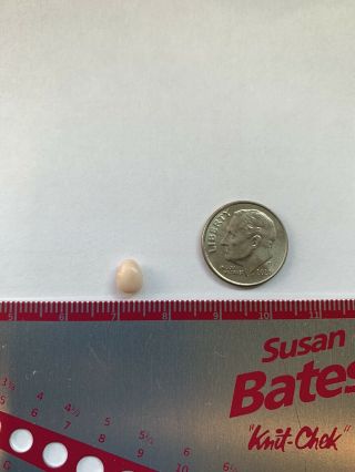 Pale Pink Conch Pearl.  Rare. 3