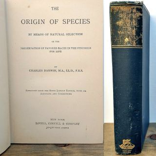 Antiquarian 1800s Charles Darwin Origin Of Species Hc Book Old & Rare Edition