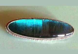 Thomas L Mott Silver Butterfly Wing Brooch Rare Teal Colour Art Deco 1920 