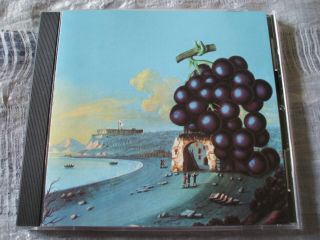 Moby Grape Wow Rare 2007 U.  S.  A.  Sundazed Cd Reissue,  Bonus Tracks Nm