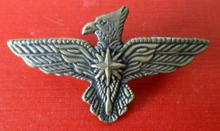 45 Para South Africa Special Forces Airborne Rare Brigade Beret Badge