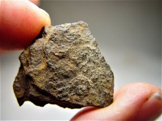 Very Rare Bendego Iron Meteorite Brazil 16.  1 Gms