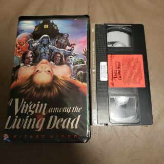 Virgin Among The Living Dead Wizard Video Vhs Rare Big Box Horror