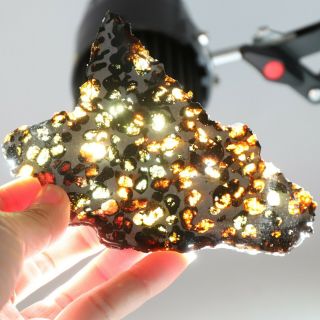 50g Rare Slices Of Kenyan Pallasite Olive Meteorite N3260