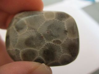 Valentines Hand Polished Petoskey Stone From Michigan
