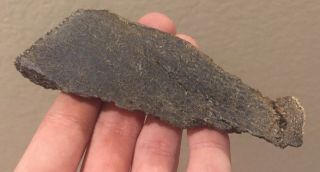 Utah Fossil Dinosaur Bone Slab Jurassic 4” Polished Fossil 2.  4 Oz