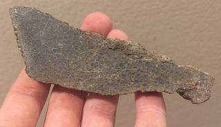 Utah Fossil Dinosaur Bone Slab Jurassic 4” Polished Fossil 2.  4 Oz 2