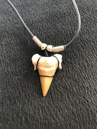Vintage 18” Shark Tooth Necklace.  1” X 1”