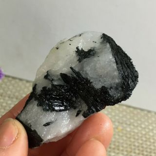 Natural Black Tourmaline Quartz Crystal Cluster Mineral Specimen 48g B3019