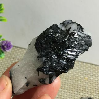 Natural Black Tourmaline Quartz Crystal Cluster Mineral Specimen 72g B3018