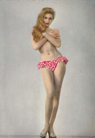 Brigitte Bardot - Hollywood Movie Star Pin - Up/cheesecake 1950s Fan Postcard