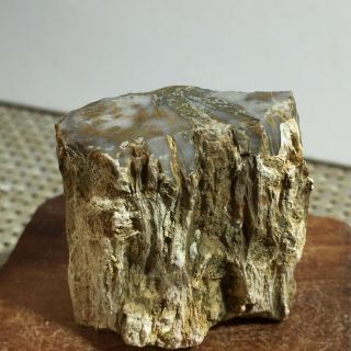 Polished Petrified Wood Crystal Slice Madagascar 54g A253