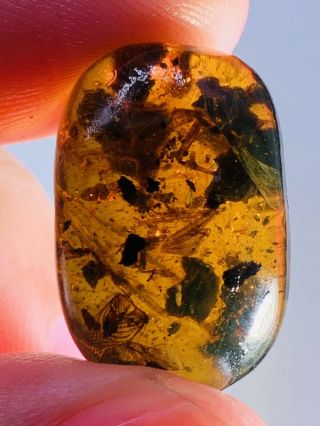 2.  47g Unknown Big Bug Residue Burmite Myanmar Amber Insect Fossil Dinosaur Age
