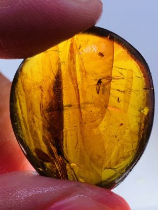 4.  57g Unknown Fly Bugs Burmite Myanmar Burmese Amber Insect Fossil Dinosaur Age