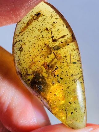 3.  8g Unknown Bugs&feces&sands Burmite Myanmar Amber insect fossil dinosaur age 3