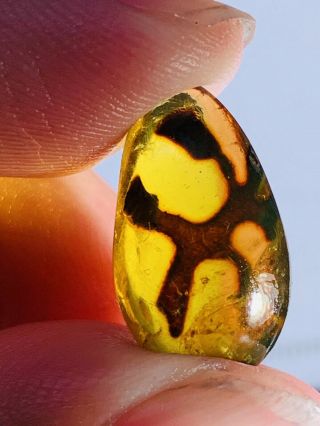 0.  99g Unknown Items Burmite Myanmar Burmese Amber Insect Fossil Dinosaur Age