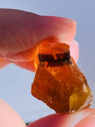3.  76g Raw Stone Tree Leaf Burmite Myanmar Burma Amber Insect Fossil Dinosaur Age