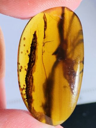 1.  75g Fly&unknown items Burmite Myanmar Burmese Amber insect fossil dinosaur age 3