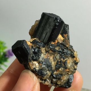 Top Natural Rough Black Tourmaline Crystal Cluster Mineral Specimen 32g A2414