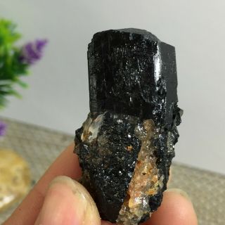 Top Natural Rough Black Tourmaline Crystal Cluster Mineral Specimen 35g a2422 2