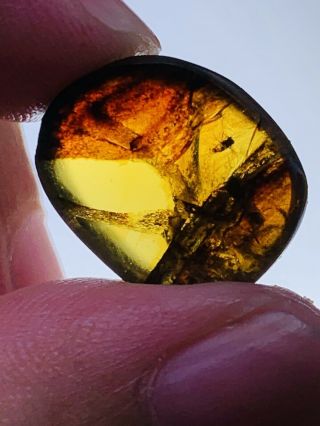 1.  1g Unknown Fly&mineral Burmite Myanmar Burma Amber Insect Fossil Dinosaur Age