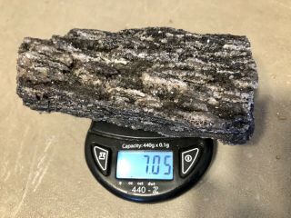 Reilly’s Rocks: Arizona Petrified Wood With Dark Smoky Quartz,  7oz