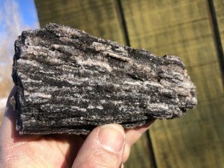 REILLY’S ROCKS: Arizona Petrified Wood With Dark Smoky Quartz,  7oz 3