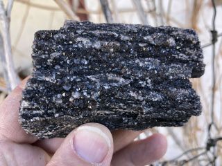 Reilly’s Rocks: Arizona Petrified Wood With Dark Smoky Quartz,  4 Oz