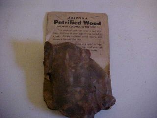 Vintage Arizona Petrified Wood Souvenir Specimen