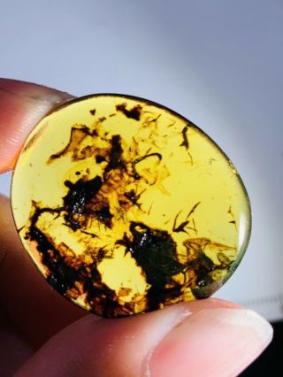 3.  11g Plant&mineral Burmite Myanmar Burmese Amber Insect Fossil Dinosaur Age