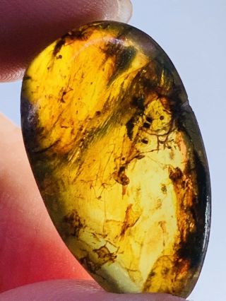 2.  26g Beetle&mineral Burmite Myanmar Burmese Amber Insect Fossil Dinosaur Age