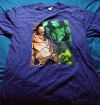 Wwf Wwe Lita T - Shirt Vintage Team Xtreme Amy Dumas Size Large Purple T - Shirt