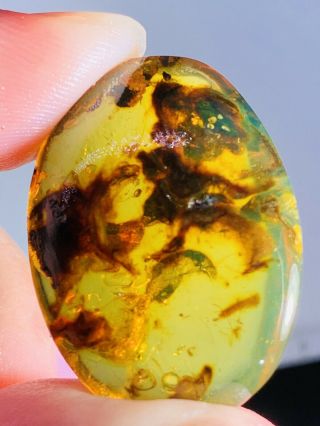 3.  3g Plant&mineral Burmite Myanmar Burmese Amber Insect Fossil Dinosaur Age