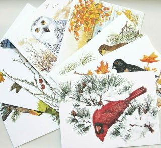 8 Vintage Blank Greeting Note Cards Bird Paintings By John Cornacchio
