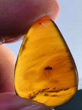 2.  95g Unknown Fly&mineral Burmite Myanmar Burma Amber Insect Fossil Dinosaur Age