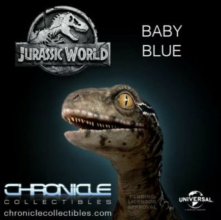Chronicle Jurassic Park World Raptor " Baby Blue " Life Size 1:1 Statue Figure