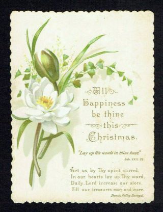 Victorian Christmas Greetings Card White Flower Ivy Religious Text By Havergal