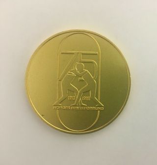 Norway Wrestling Federation 75 years 1913 - 1988 commemorative medal 3