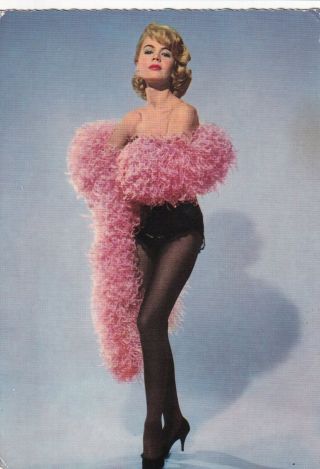 Sandra Dee - Hollywood Movie Star Pin - Up/cheesecake 1950s Fan Postcard